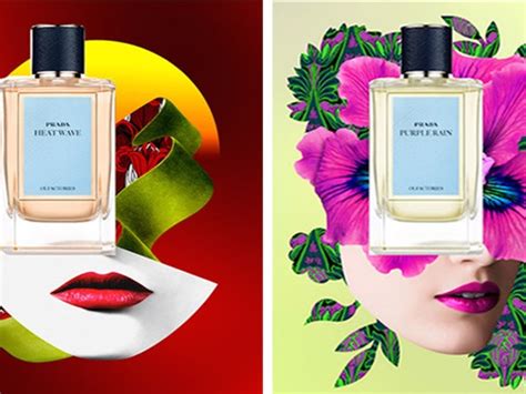 Prada olfactory collages